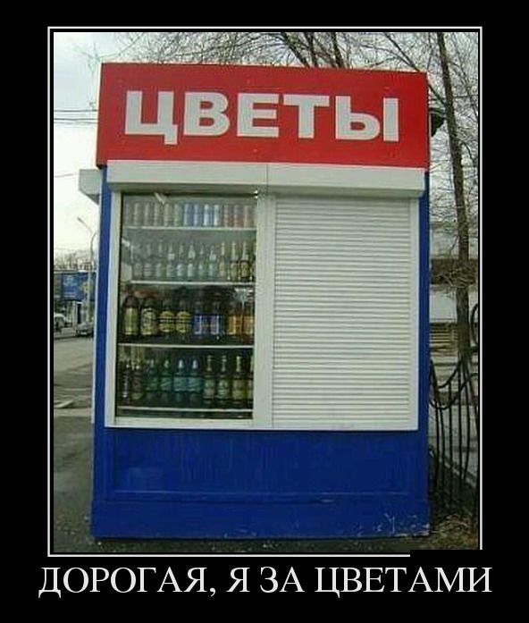 Демотиваторы выходного  дня 