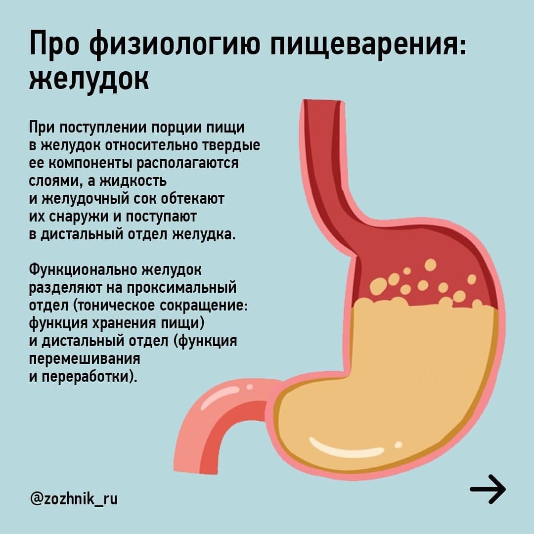 что можно выпить чтобы член не стоял фото 101