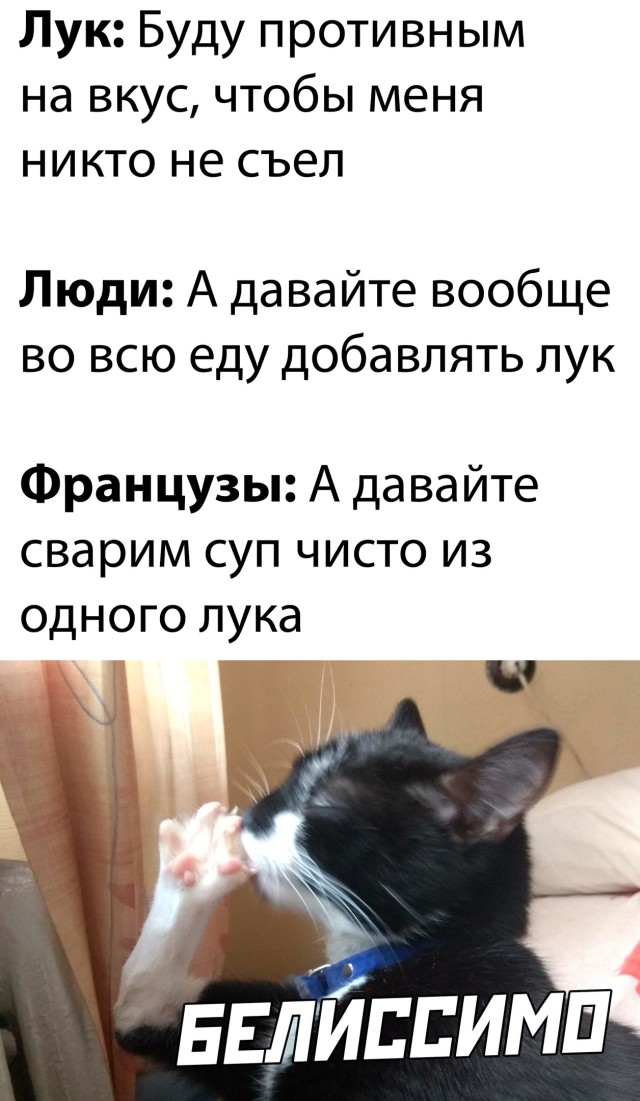 Подборка смешных картинок Подборка смешных картинок приколы,смешные картинки,юмор