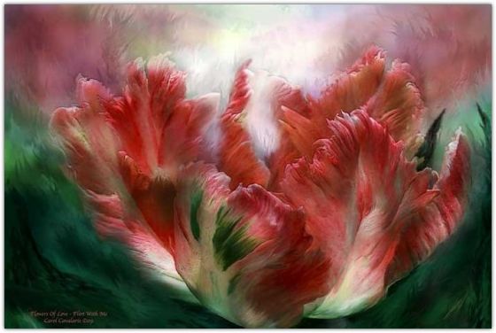 �������� �������� ����� ���������