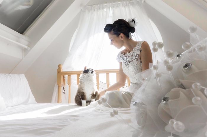 I Do Post-Marriage Private Shooting With Cats