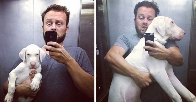 Этот парень не знал, как долго проживет его щенок, поэтому снимал его каждый день