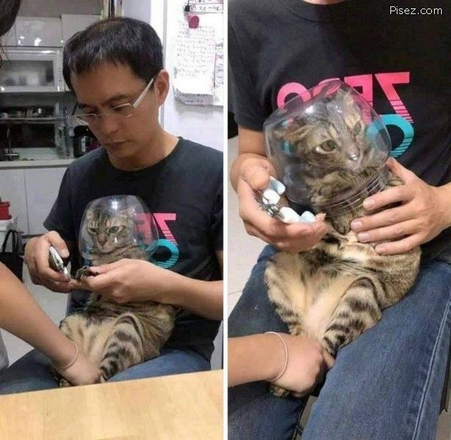 Майские приколы 2021 Майские приколы 2021 позитив,смешные картинки,юмор