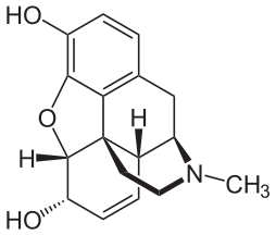 {"author":"NEUROtiker","link":"https%3A//commons.wikimedia.org/wiki/File%3AMorphin_-_Morphine.svg","descr":""}