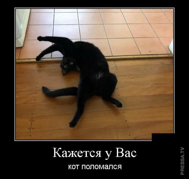 Забавные позитивные демотиваторы для хорошего настроения Забавные позитивные демотиваторы для хорошего настроения