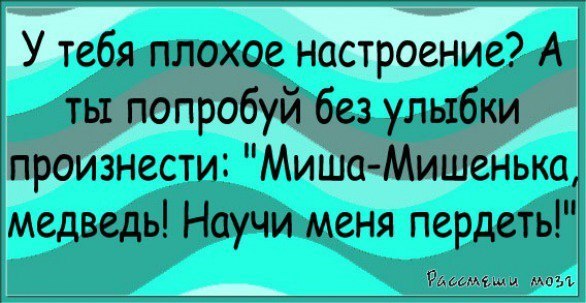 Забавные и веселые картинки с надписями для настроения (11 фото)