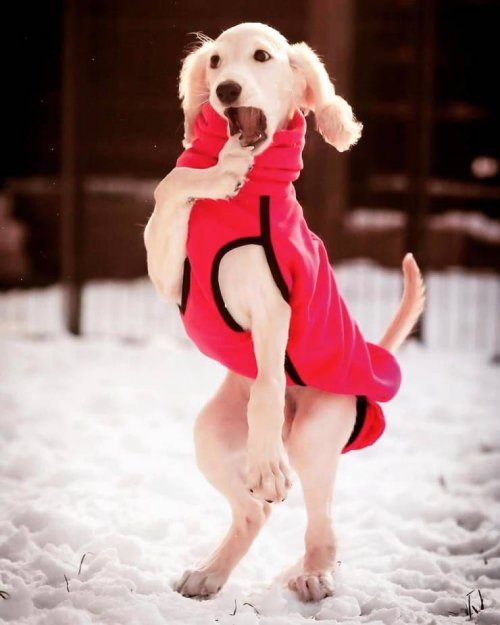 Прикольные моменты Прикольные моменты