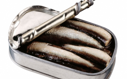 sardines