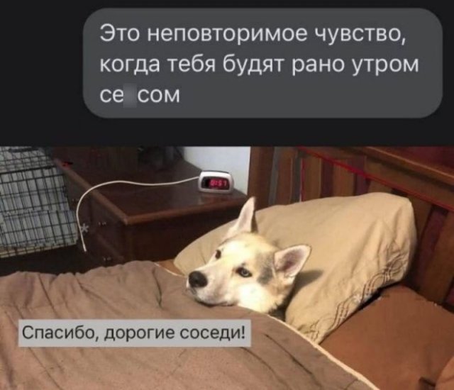 Мемы и приколы про "это" 