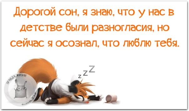 Прикольные фразки в картинках 