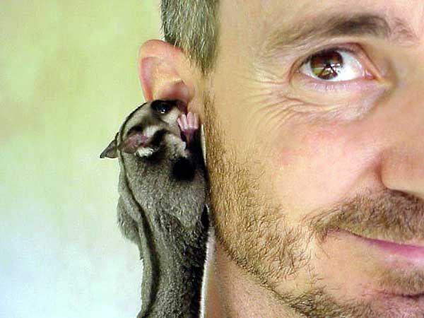 Забавно (40фоток)