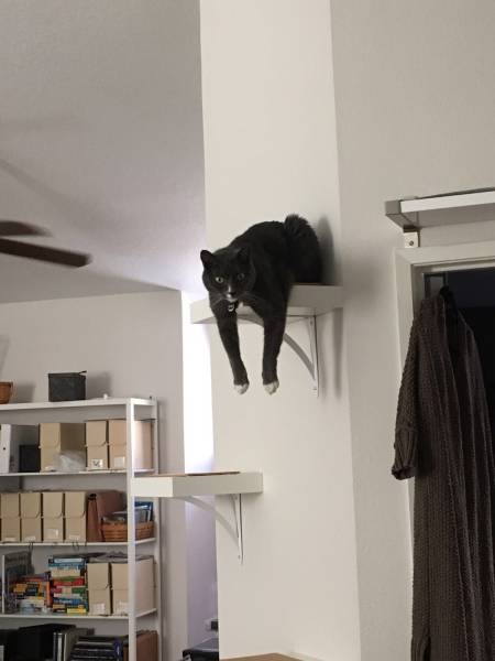 Подборка картинок. Дневной выпуск (51 фото)