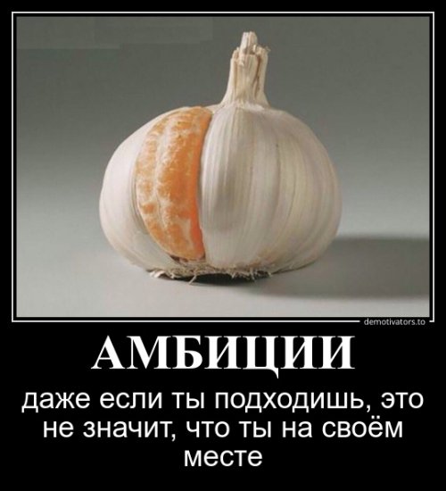 Всем улыбчивого дня и позитивного настроя! веселые картинки