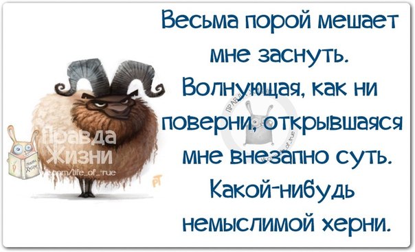 Про бессонницу смешные картинки с надписями, картинки
