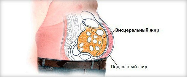 Интервальное голодание для предиабетика - стоит или нет? голодания, интервального, сахара, много, вроде, Говорили, людей, более, жизни, знает, системы, очень, поддержания, приемами, между, интервальное, голодание, ничего, время, нельзя