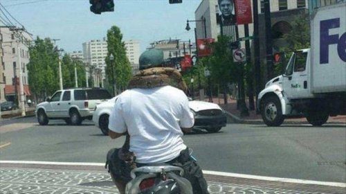 Что ты такое? Что ты такое?