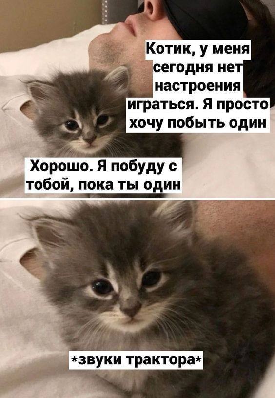 Анекдоты недели и нервные клетки 