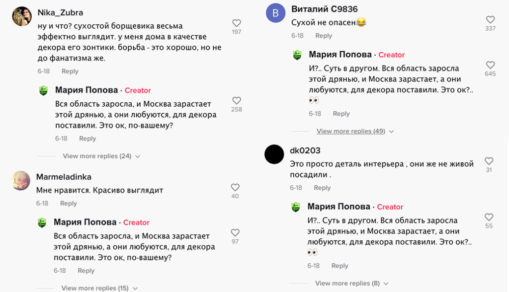 Вся область заросла, и Москва зарастает этой дрянью, а они любуются, для декора поставили. Это ок по-вашему? мем про борщевик