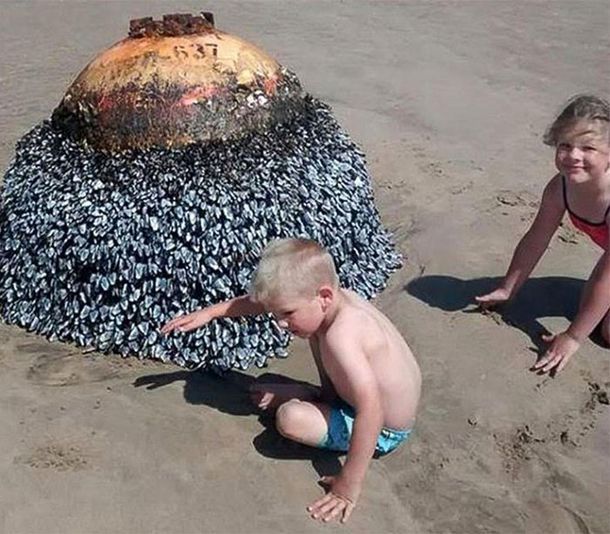 Дети играли на пляже со странной находкой. Узнав, что это было, люди чуть не попадали в обморок!