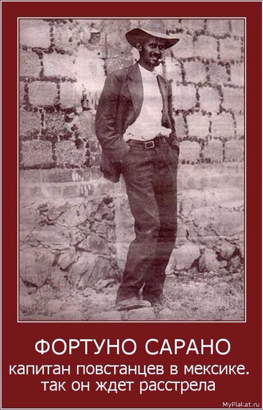 Немного картинок с надписями картинки для хорошего настроения, смешные картинки, смешные подписи к картинкам