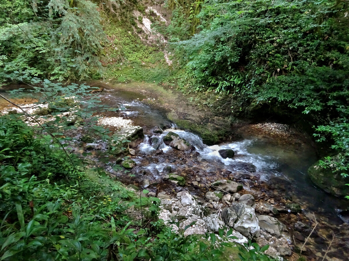 Река Мачара Абхазия