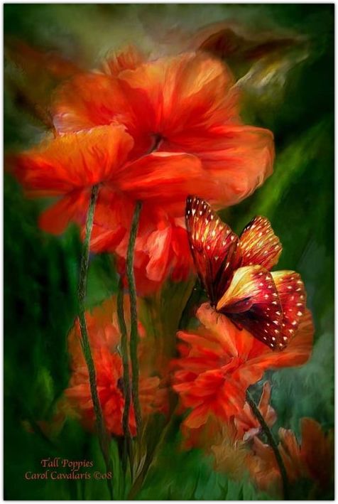 �������� �������� ����� ���������