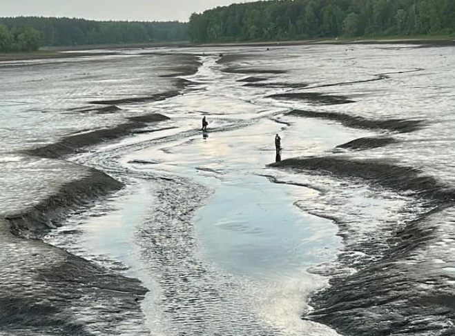 В Раменском округе Подмосковья осушили озеро: что об этом думают жители и почему