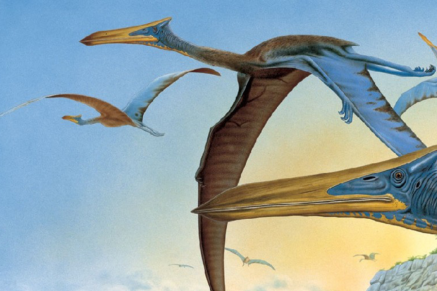 Ужас на крыльях: трансильванские птерозавры оказались вампирами