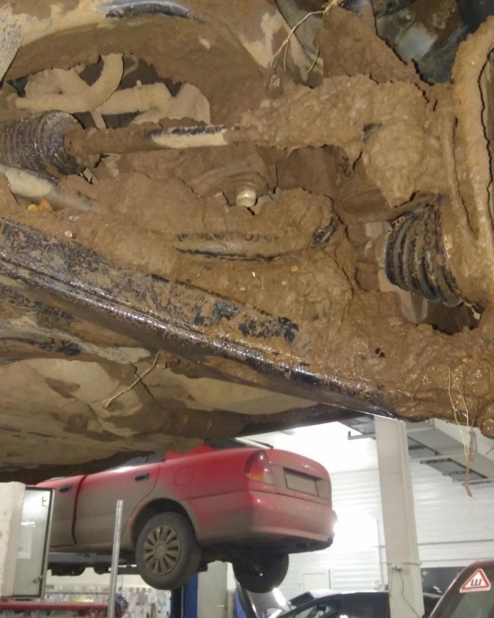 Съездил к родителям в деревню 