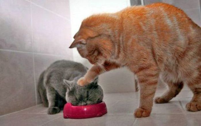 Давайте улыбаться вместе! :)