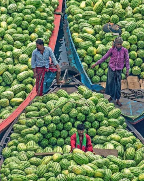 Прикольные картинки и фото, бодрые 