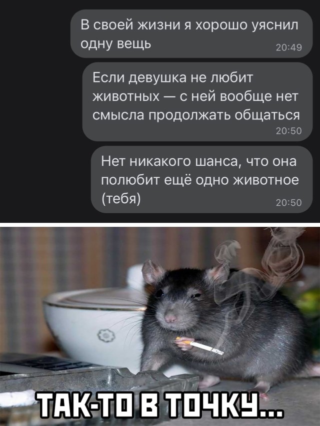 Подборка смешных картинок Подборка смешных картинок приколы,смешные картинки,юмор