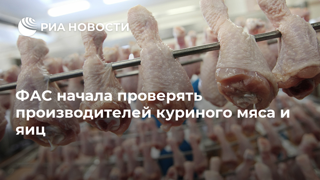 ФАС начала проверять производителей куриного мяса и яиц Лента новостей