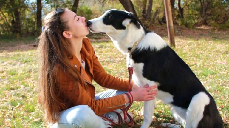 BeFunky-collage (82)