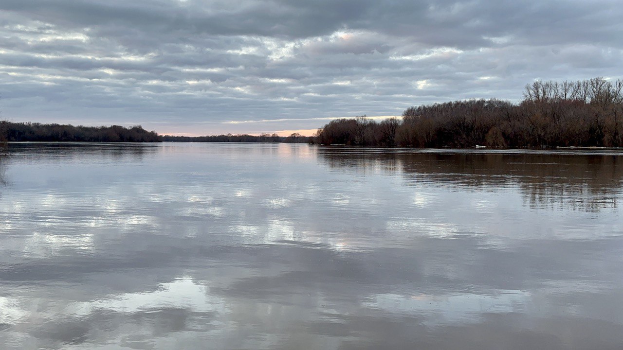 Под водой рязань. Разлив Оки. Рязань разлив. Лесопарк разлив.