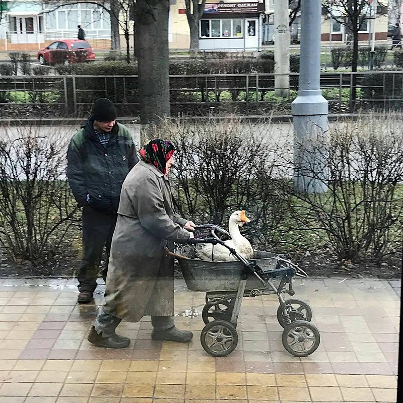 Неподражаемые картины русской жизни с ее национальными особенностями люди, прикол, россия, юмор