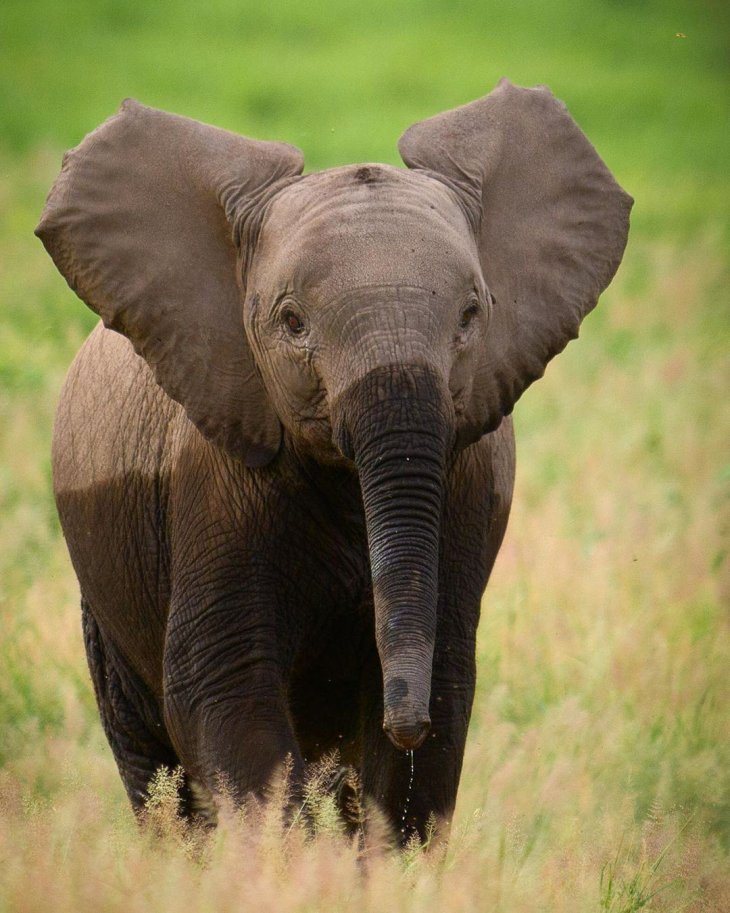 Прикольные фотографии - воскресный выпуск 