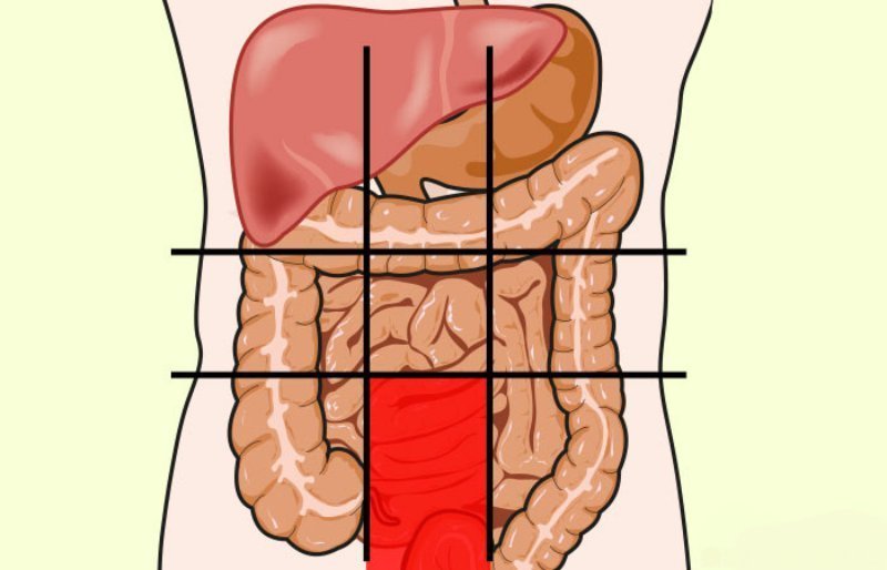 Боль в животе? Посмотрите на карту брюшной полости и определите недуг