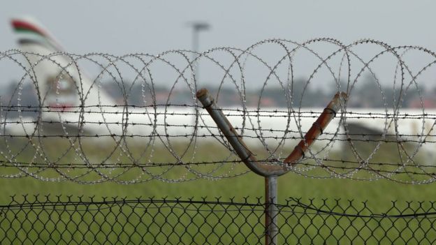 Полет на шасси самолета: сколько выживает "зайцев-экстремалов" и отчего они гибнут? Полет на шасси самолета: сколько выживает "зайцев-экстремалов" и отчего они гибнут? авиапроисшествия,авиация