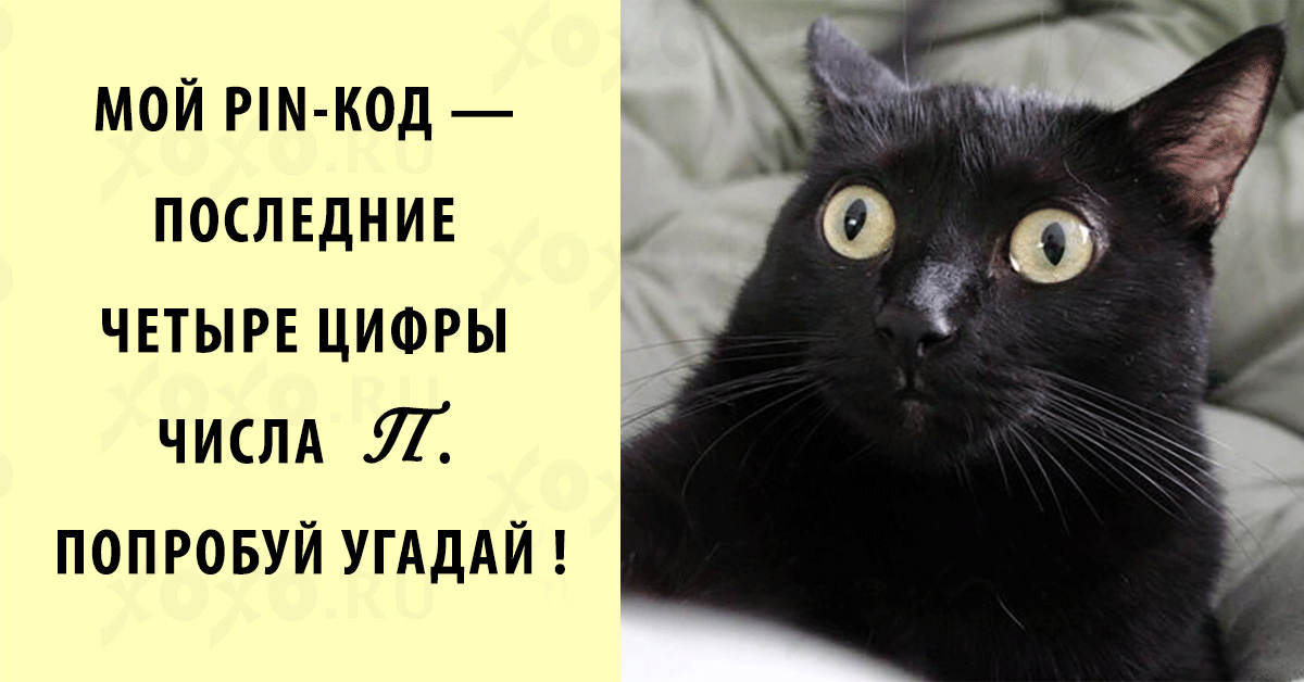 Физики тоже шутят: самые смешные открытки про науку! Физики тоже шутят: самые смешные открытки про науку! физики тоже шутят,юмор