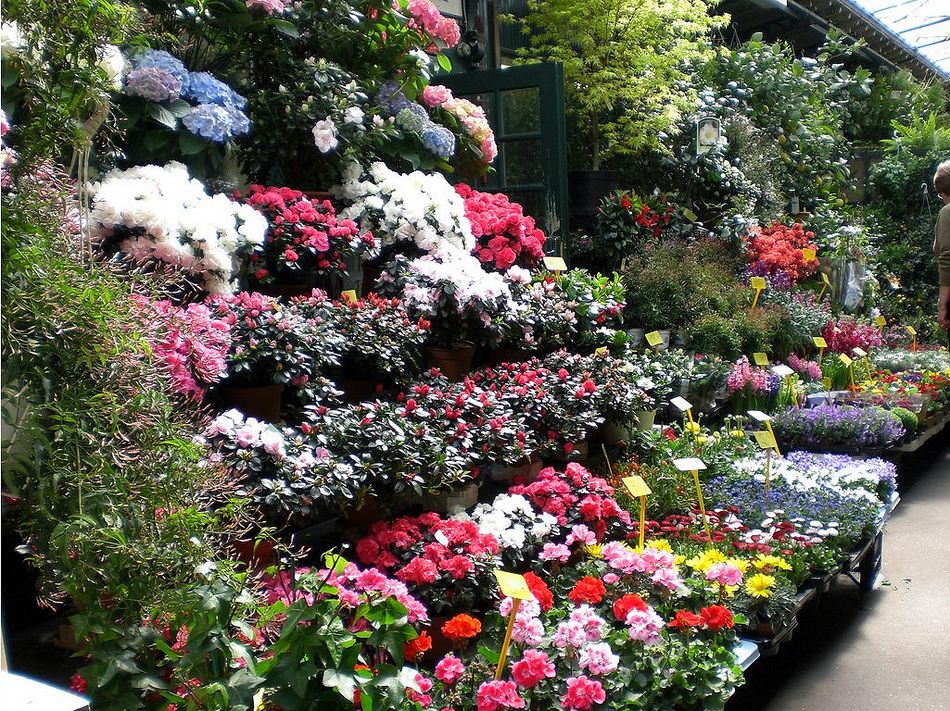 Краски Парижа. Вдохновение улиц Краски Парижа. Вдохновение улиц европа