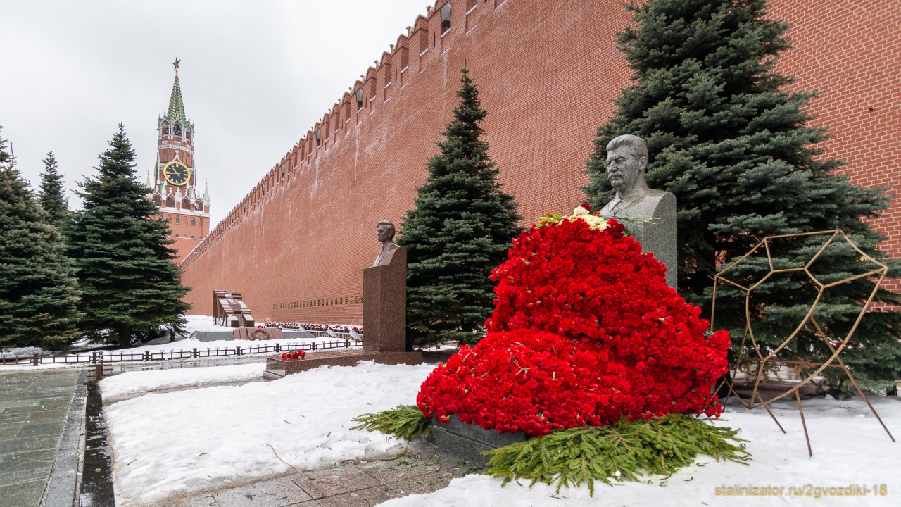 Голубые ели у кремлевской стены в москве