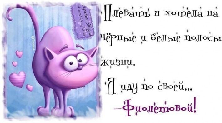 Позитивные картинки с прикольными фразками Позитивные картинки с прикольными фразками