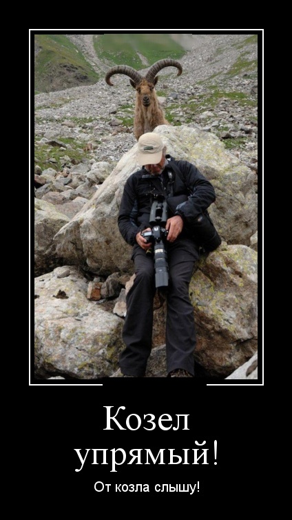 Позитивные и смешные демотиваторы для веселья и улыбки 