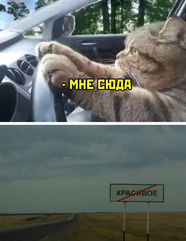Подборка смешных картинок Подборка смешных картинок приколы,смешные картинки,юмор