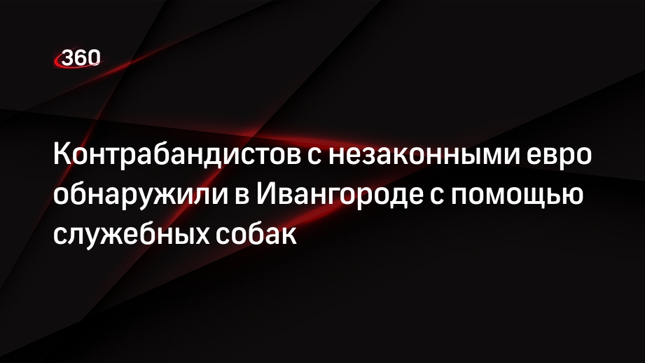 Контрабандистов с незаконными евро обнаружили в Ивангороде с помощью служебных собак