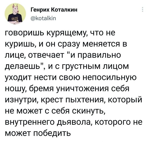 Подборка забавных твитов обо всем