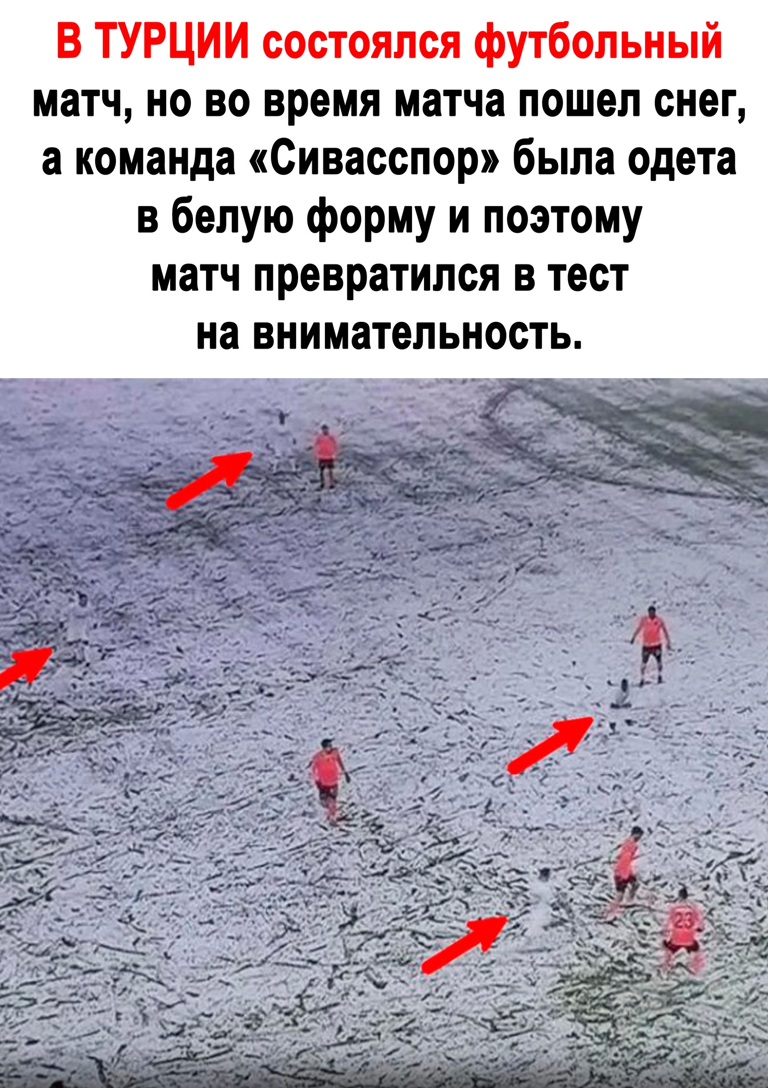 Юмор из интернета 740 позитив,смех,улыбки,юмор