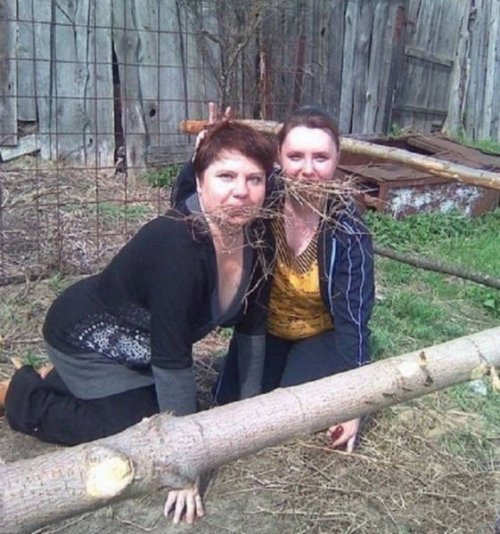 Что здесь происходит?! (21 фото)