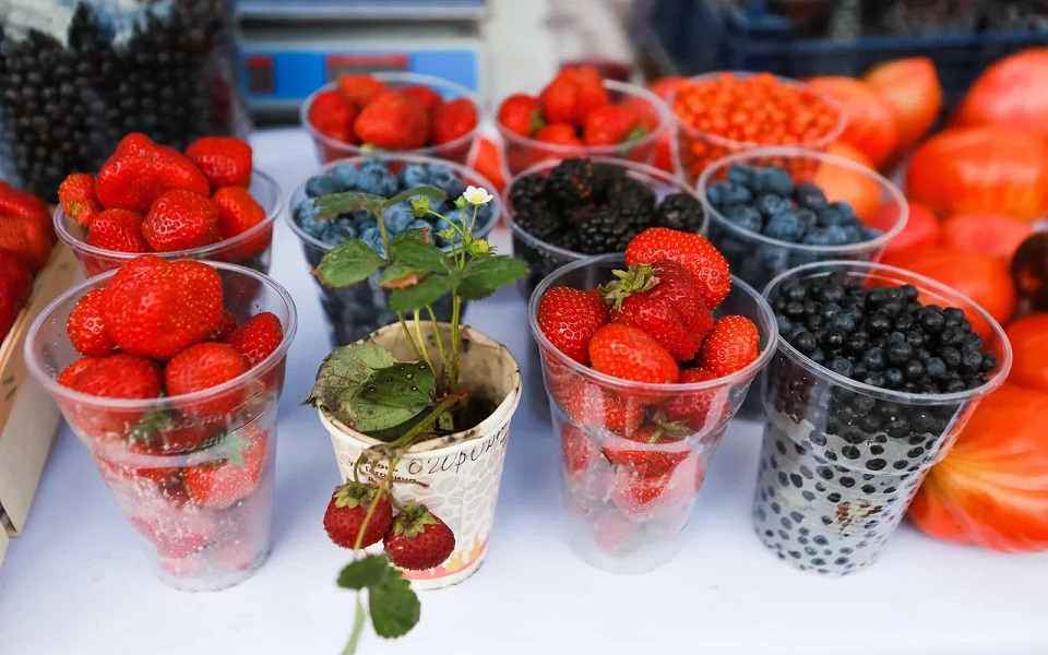 В Рязанской области из-за заморозков в мае упал урожай ягод